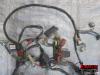 02-03 Honda CBR 954RR Wire Harness