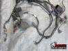 02-03 Honda CBR 954RR Wire Harness