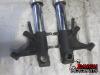 06-07 Honda CBR 1000RR Forks - STRAIGHT