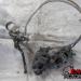 17-25 Suzuki GSXR 1000 Front Master Cylinder, Braided Brake Lines and BREMBO Calipers